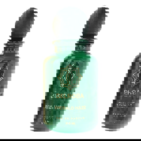 Delroba Emerald Haze For Men Eau de Parfum 100ml for Him