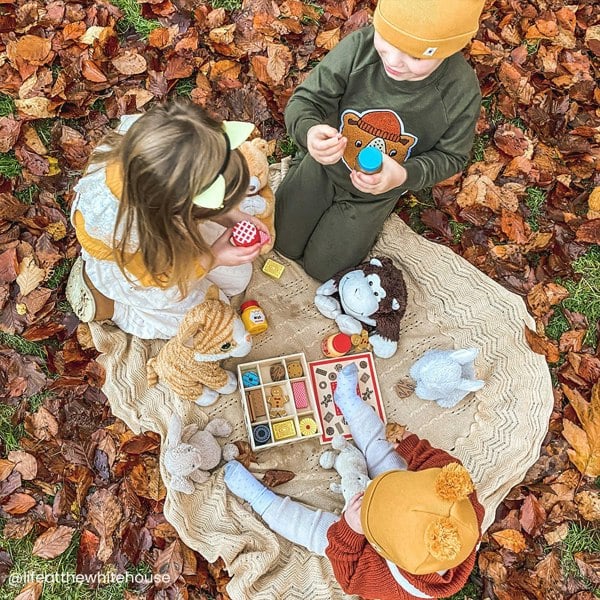 Bigjigs Toys Biscuit Box