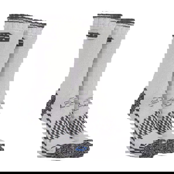 t4option1_1
