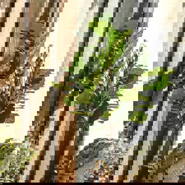 RG263 Artificial Plant-Weilai Concept-Weilai Concept