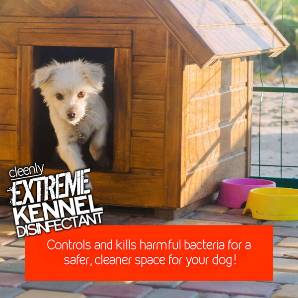 Cleenly Extreme Kennel Disinfectant, Deodoriser, and Cleaner (5L) - Lavender Fragrance