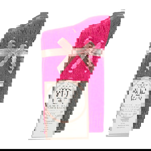 t4option1_4