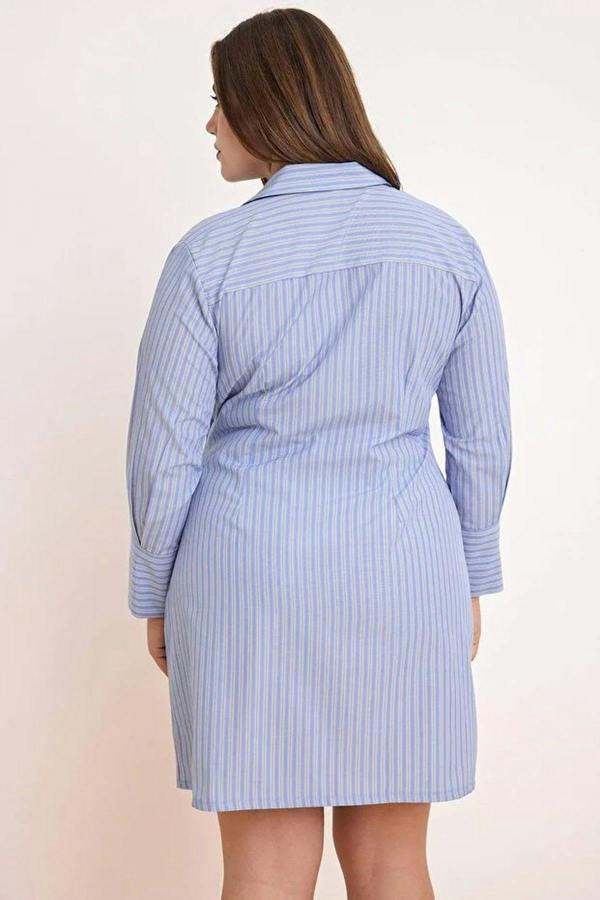 WOVCOR Mini Woven Plus Size Shirt Dress