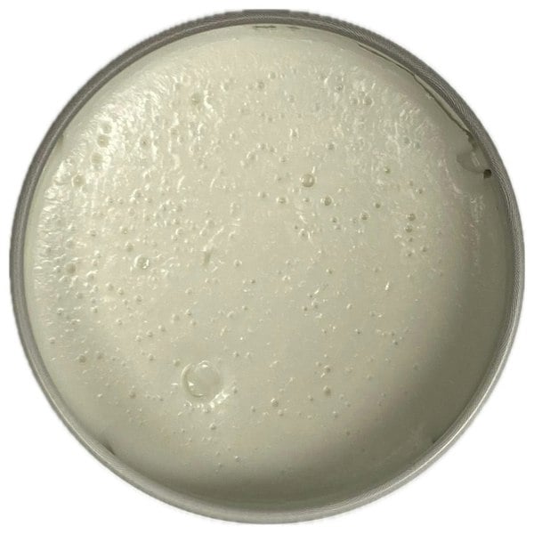 Barber Mind Ghost Pomade 100ml