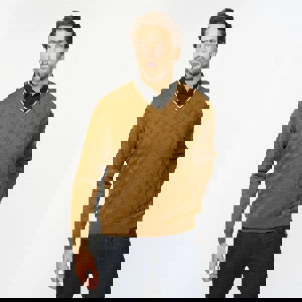 Gabicci G55M04 Fancy Vee Neck Sweater Gabicci Classic NUTMEG