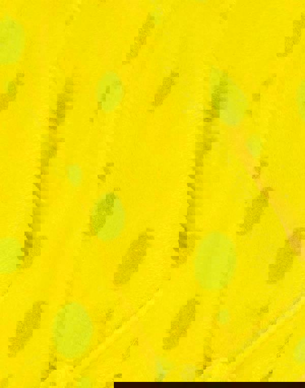 SpongeBob SquarePants Unisex Kids Yellow Spongebob Squarepants Novelty Face Hood Bathrobe