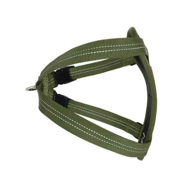 EzyDog Essential Chest Plate Dog Harness in Green
