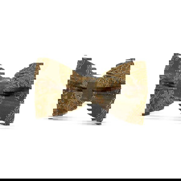 Paul Andrew Boys Paisley Floral Satin Bow Tie