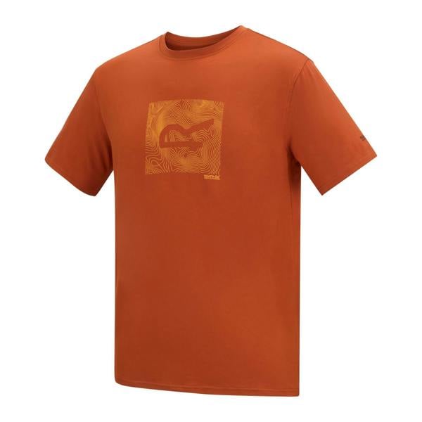 Regatta Mens Fingal Abstract Stretch Logo T-Shirt - Rooibos Tea - 