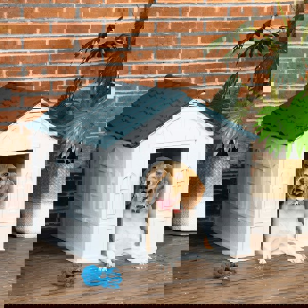 D02-125V00BU