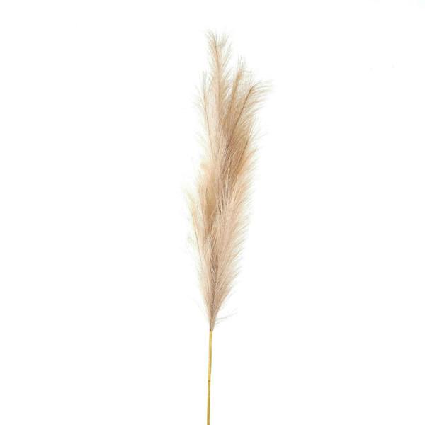 Wyld Haus Set of 3 Bleached Large Faux Pampas Grass Stems