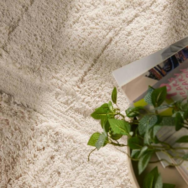 Close-up of a textured beige carpet with a plant in the corner