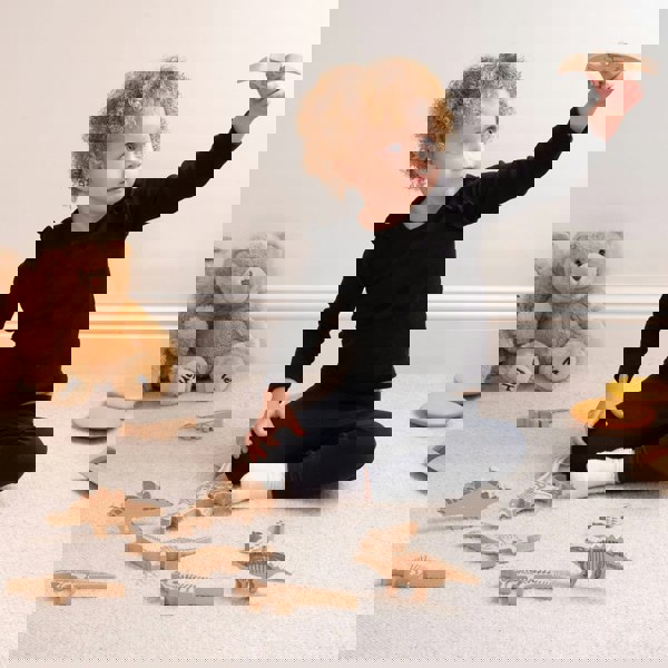 tickit Wooden Dinosaur Blocks