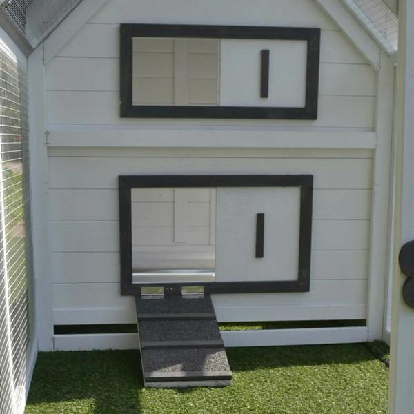 Chicken coop nesting area with dark-framed openings and a sloped ramp