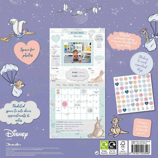 Disney Classic Babys First Year Calendar, Perpetual Calendars and Diaries, Month To View, Entertainment, Gift