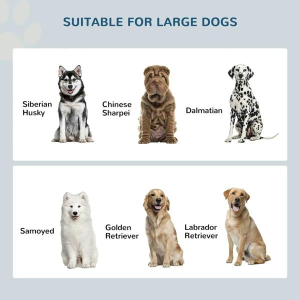 Large dog suitability graphic with multiple dog silhouettes for the raised feeder.