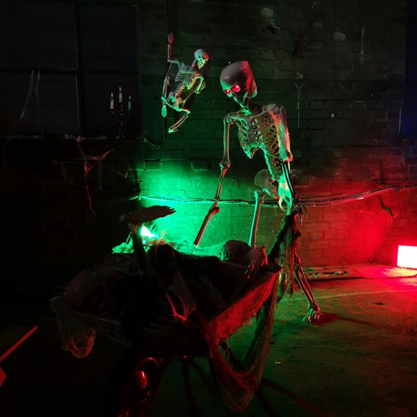 Samuel Alexander 5ft (150cm) Posable Full Body Halloween LED Skeleton Decoration with Movable Joints and LED Eyes