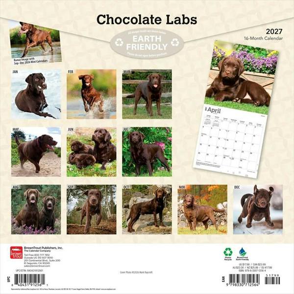 Chocolate Labs Calendar 2027, Wall Calendars, Month To View, Dogs, Gift