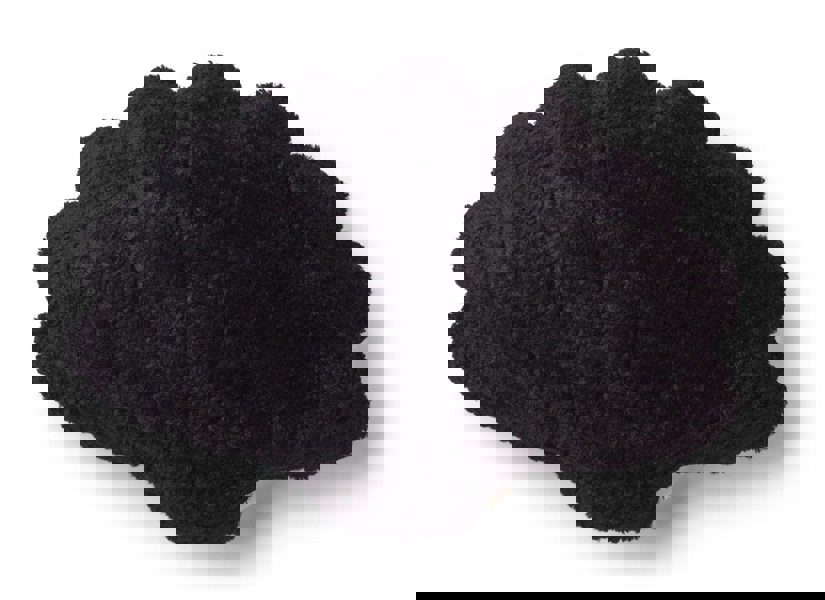 Shell Cushion | Small | 35x50 cm Black