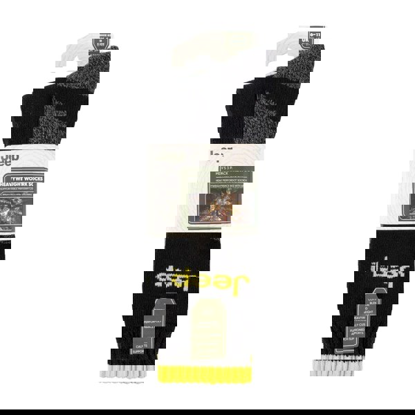t4option1_0