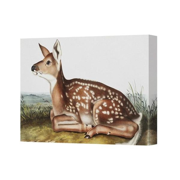 Benjamin Tate Design Serene Deer Fawn Resting On Grass Canvas Wall Art Print
