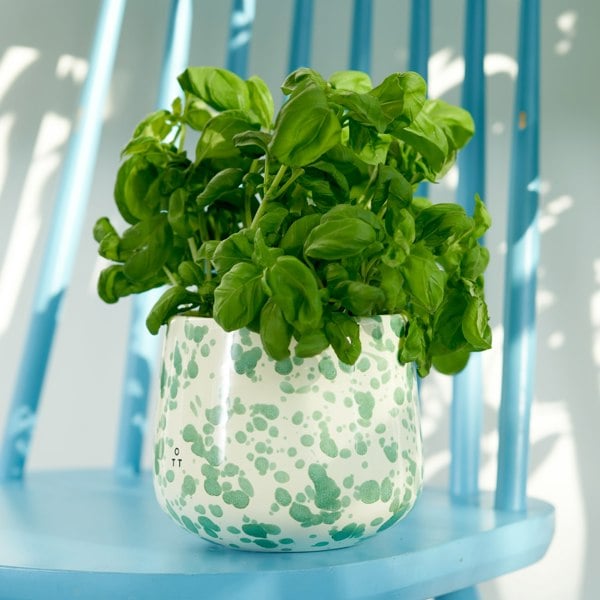 Hot Pottery Indoor Planter Pistachio