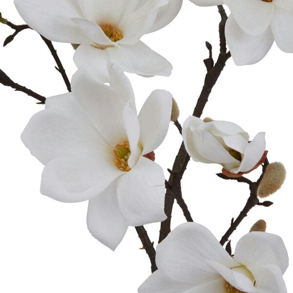 Wyld Haus Set of 3 Artificial Flowers White Magnolia Stem