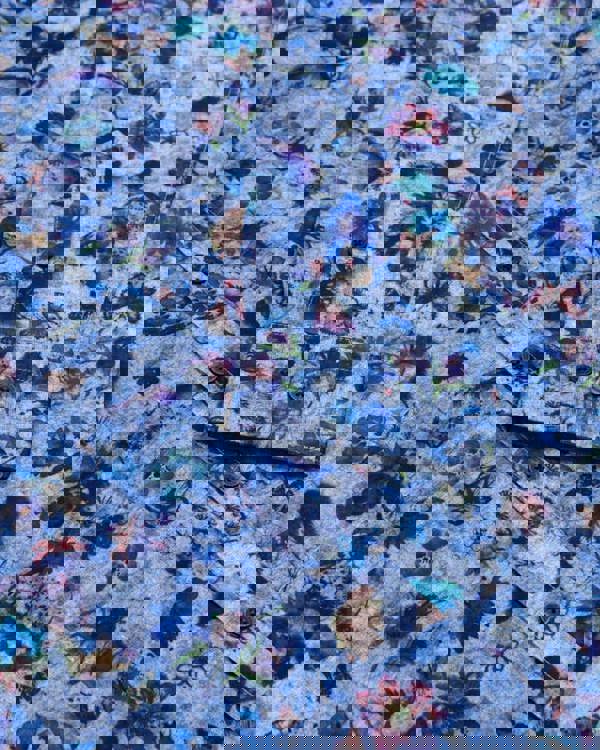 Steel & Jelly Limited Edition Butterfly Print Shirt