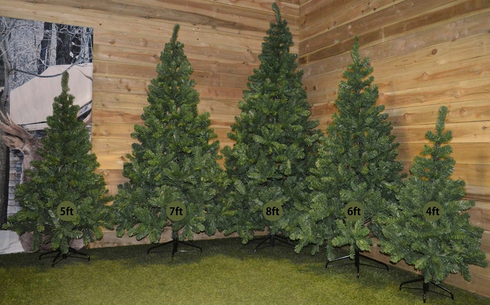 Samuel Alexander 8ft (240cm) Imperial Pine Christmas Tree with 980 Tips in Green