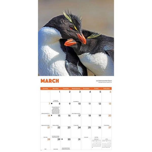 Penguins Calendar 2027, Wall Calendars, Month To View, Animals, Gift