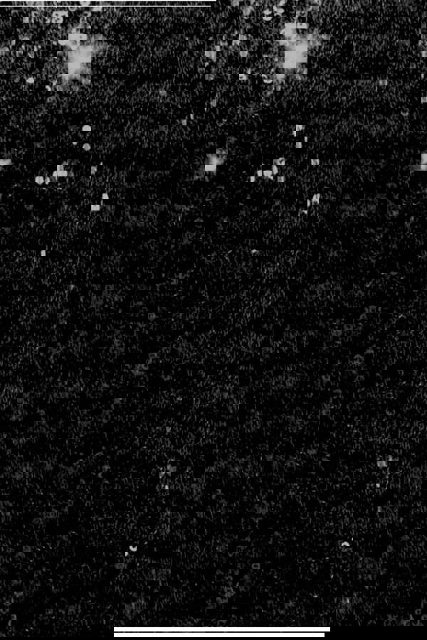 Sequin Skater Shirt Dress - Black DR4061