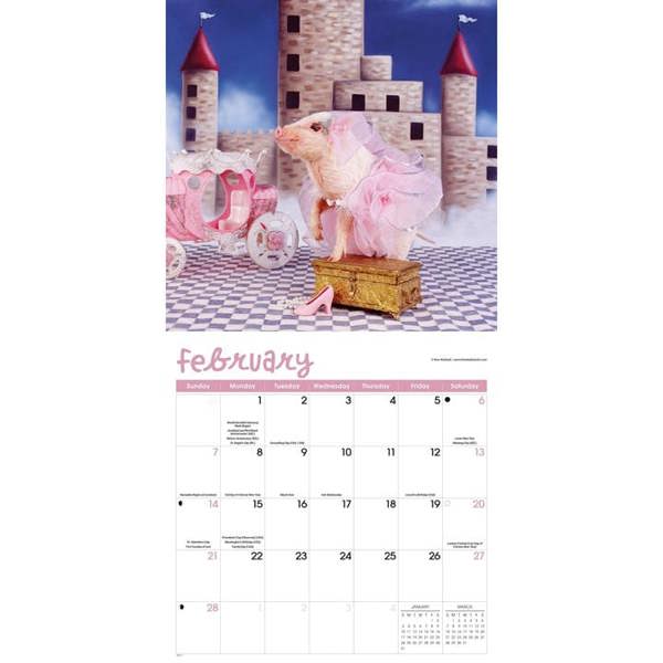 Playful Pigs Calendar 2027, Wall Calendars, Month To View, Animals, Gift