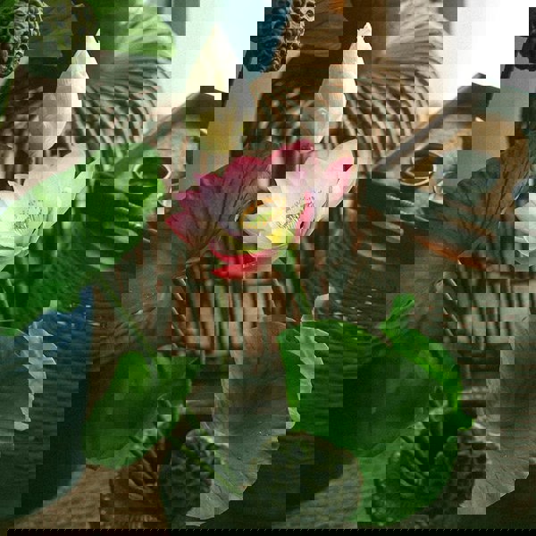 TU29 Artificial Plant-Weilai Concept-Weilai Concept