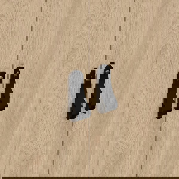 Furniture To Go Barcelona Wardrobe with 2 Doors in Jackson Hickory Oak