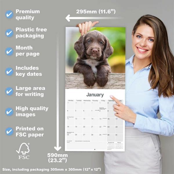 Sprocker Spaniel Calendar 2027, Wall Calendars, Month To View, Dogs, Gift