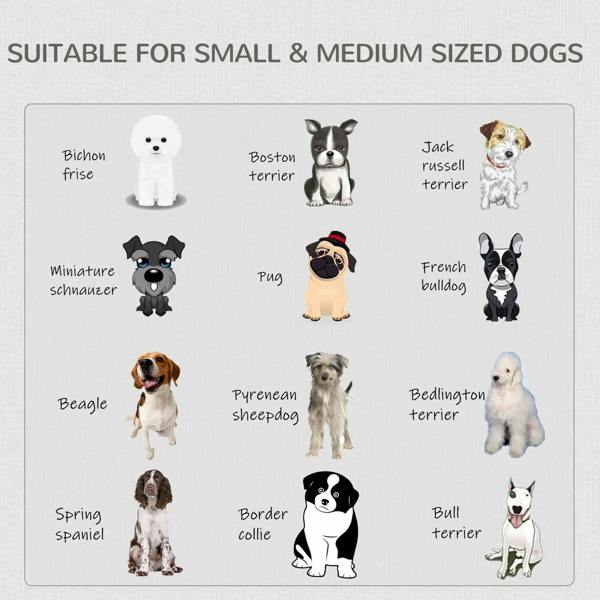 Dog crate size guide graphic showing small and medium dog breeds