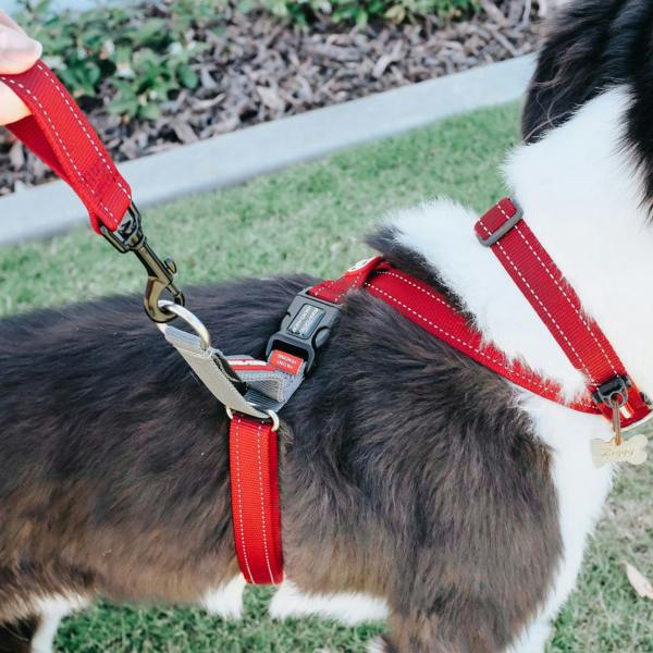 EzyDog Crosscheck Dog Harness in Red