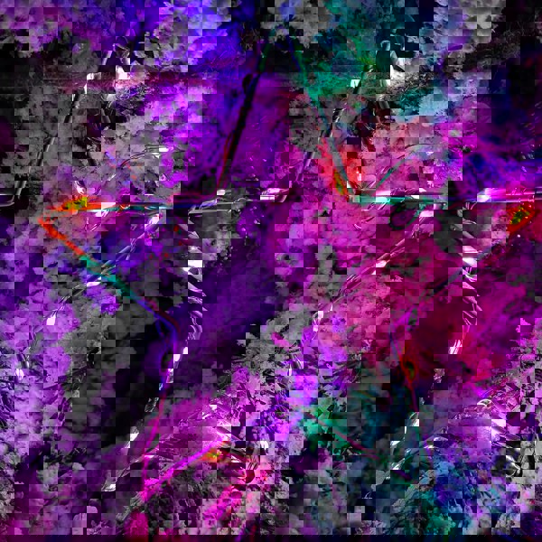 Samuel Alexander 2.6m Set of 10 Star Curtain Lights 227 Rainbow LEDs Microbrights String Lights