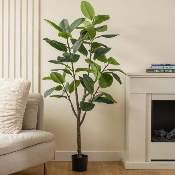 Scottish Everlastings 150cm Real Touch Rubber Tree