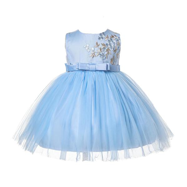 Cinda Embroidered Floral Party Dress