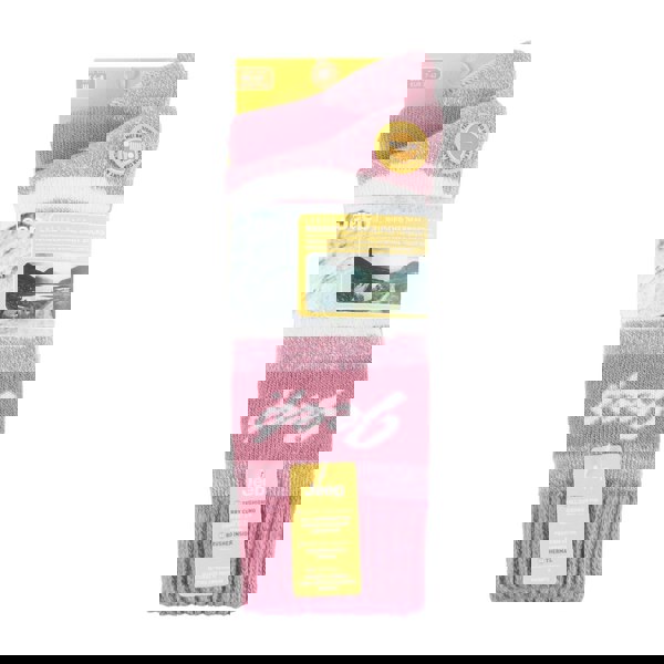 t4option1_1