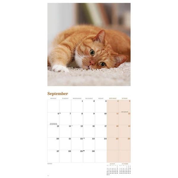 Ginger Cats Calendar 2027, Wall Calendars, Month To View, Cats, Gift