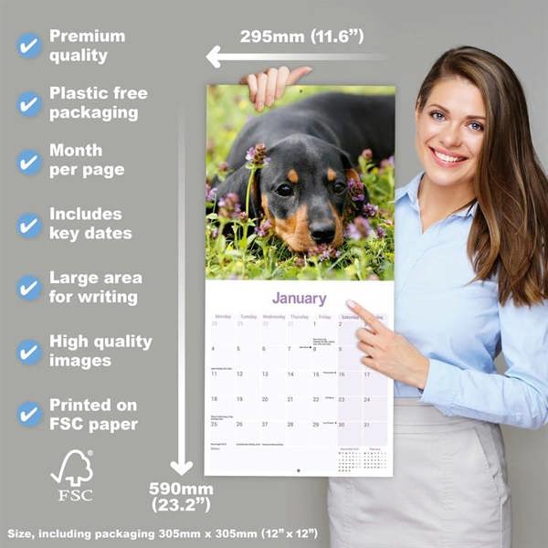Dachshund Puppies Calendar 2027, Wall Calendars, Month To View, Dogs, Gift