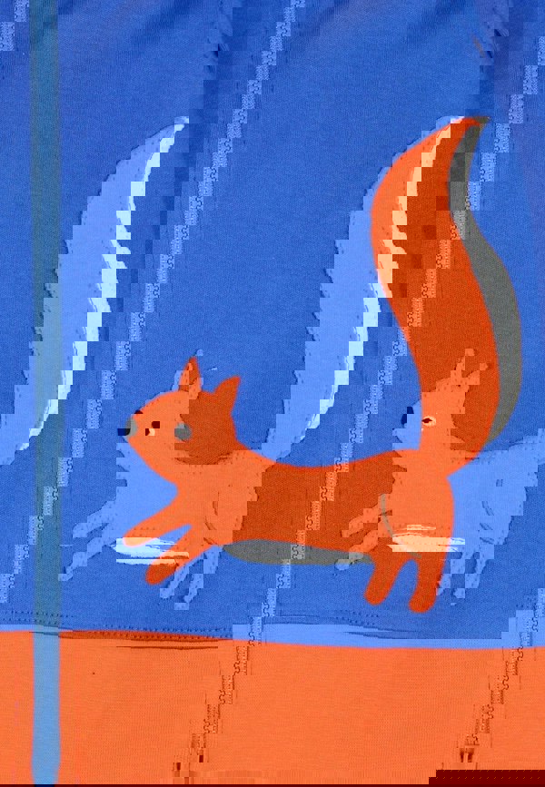 Organic Squirrel Applique Hoodie - Toby Tiger