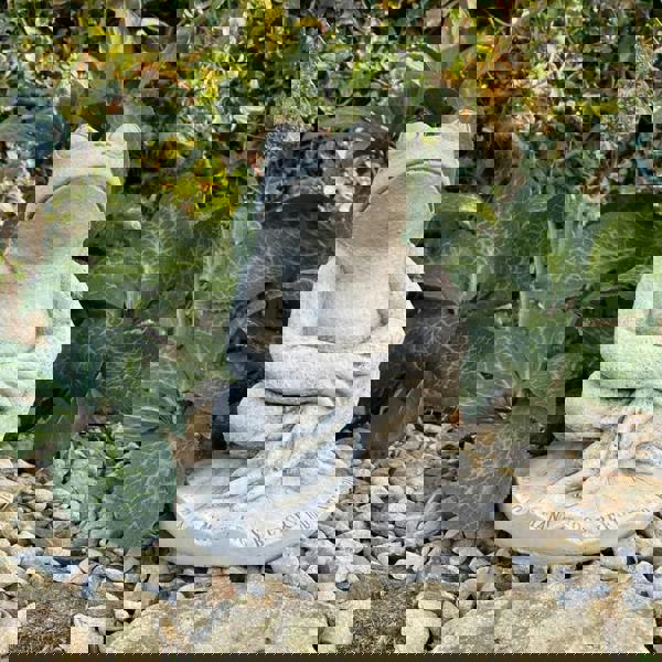 Cute Prince Frog Pond Ornament