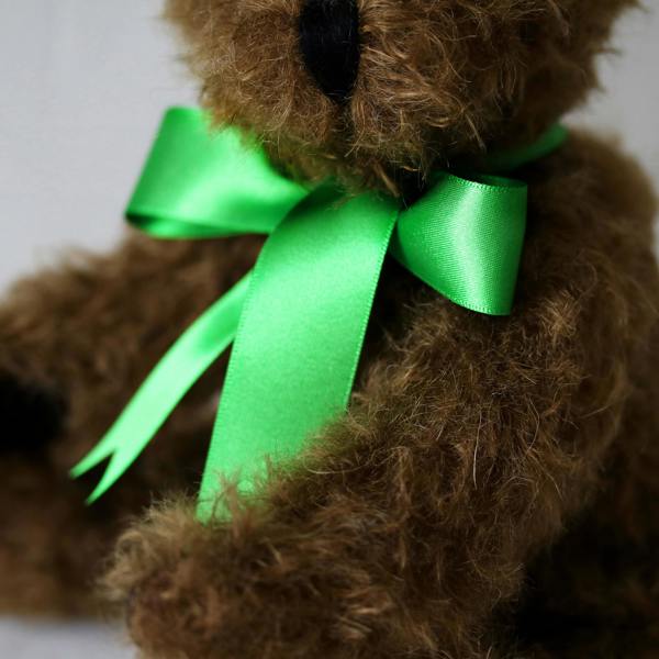 Canterbury Bears Hamish