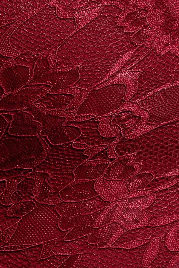 Off The Shoulder Lace Skater Mini Dress - Wine DR2563C