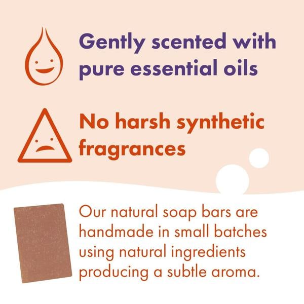 Friendly Soap 3 Pack - Natural Soap - Cinnamon