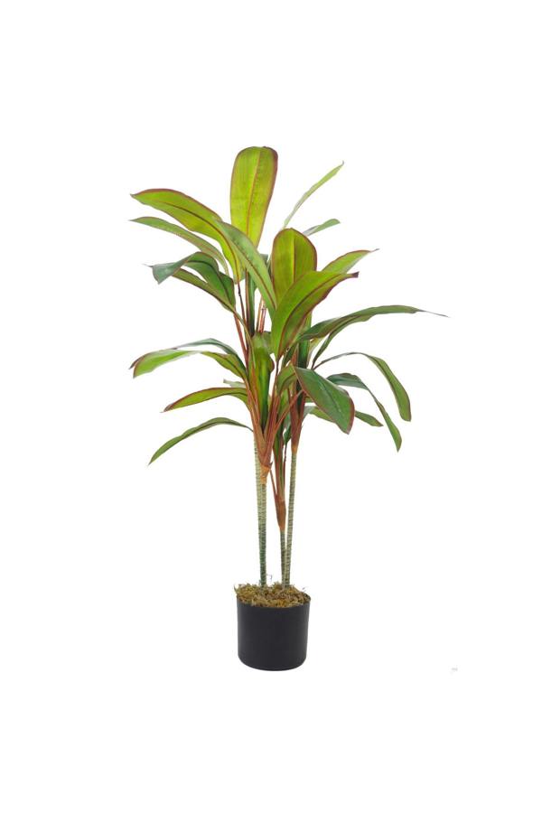 Dyzi 90cm Artificial Dracaena in Moss-Covered Weighted Pot