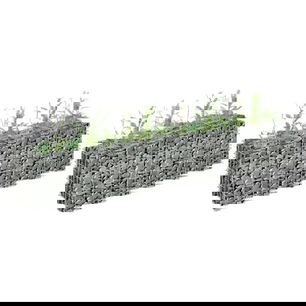Berkfield Gabion Raised Bed Galvanised Steel 180x30x30 cm